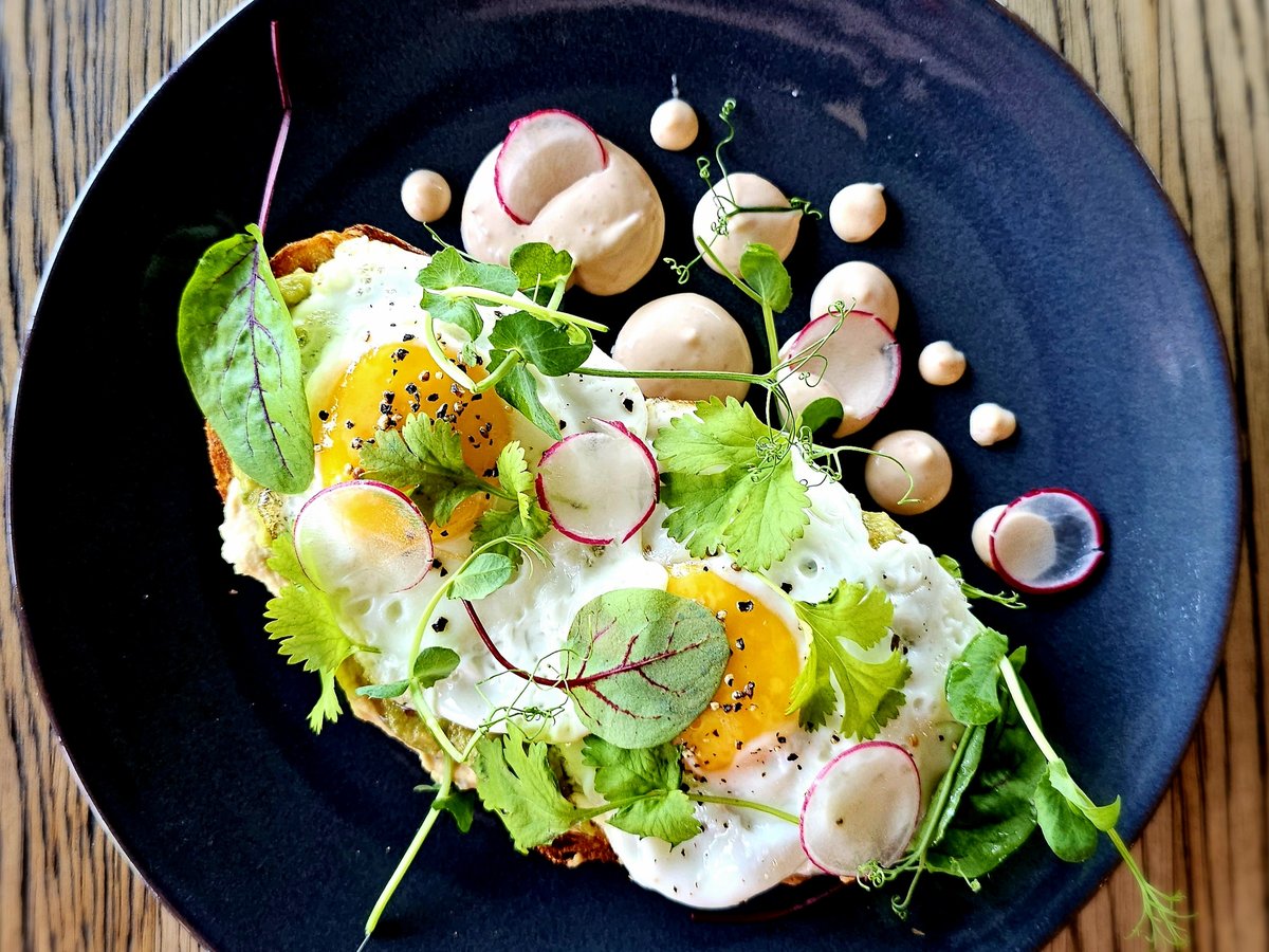 Sourdough pajda with avocado, fried eggs and microgreens