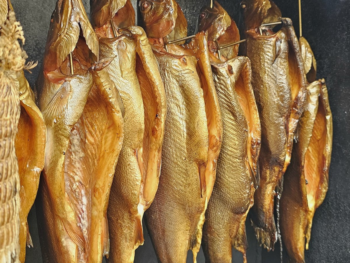 Golden smoked trout hanging in the smokehouse
